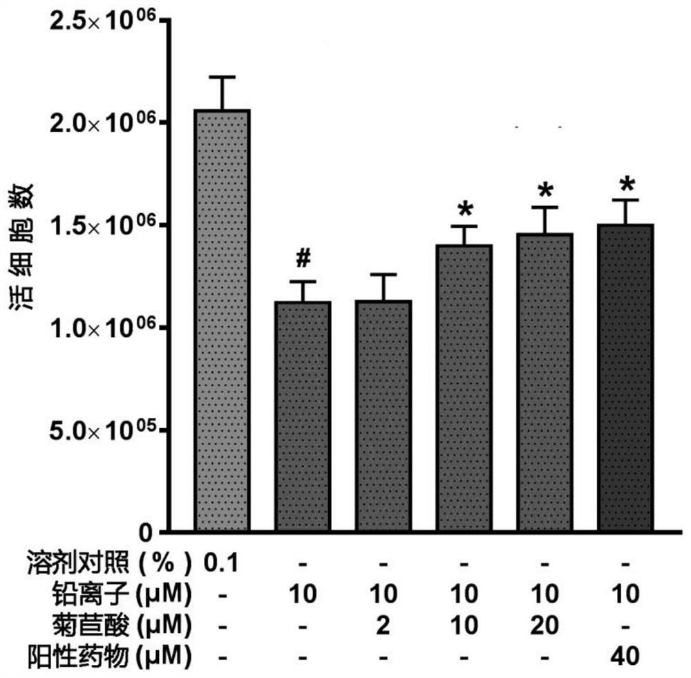 Use of cichoric acid, extract of Echinacea purpurea and corresponding preparations for preparing medicines for alleviating lead toxicity
