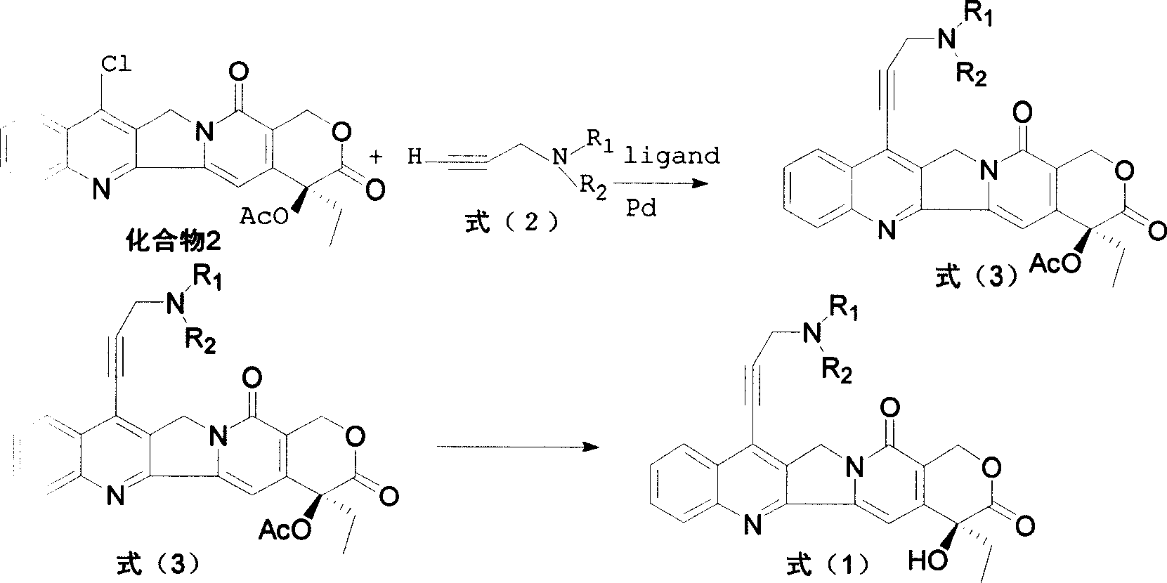 Water-soluble camptothecine derivative and its preparation process and application thereof