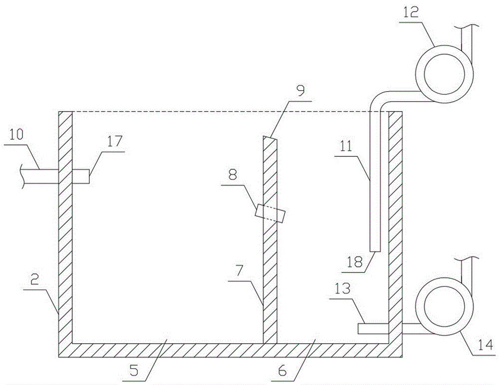 Soft-shelled turtle greenhouse tail water treatment system