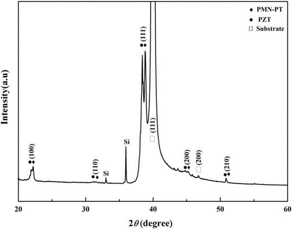 Lead magnesium niobate-lead titanate and lead zirconate titanate alloplasmic structure film and preparing method of film