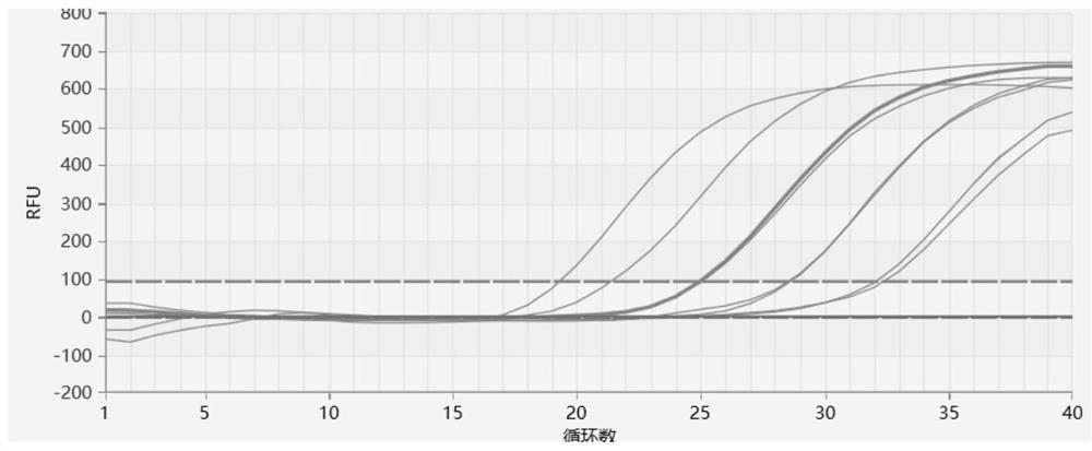 Reagent for direct fluorescent PCR amplification of oral swab and kit