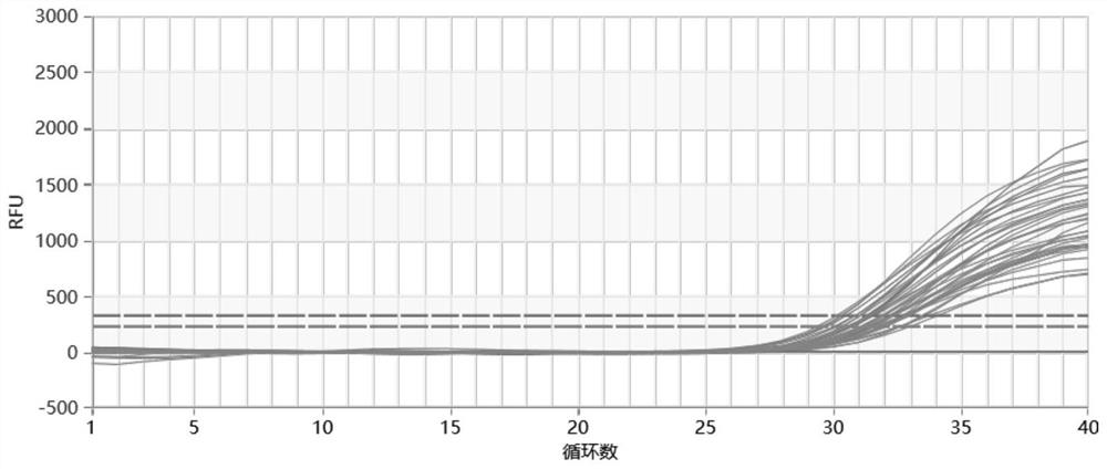 Reagent for direct fluorescent PCR amplification of oral swab and kit