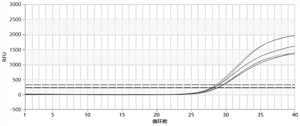 Reagent for direct fluorescent PCR amplification of oral swab and kit