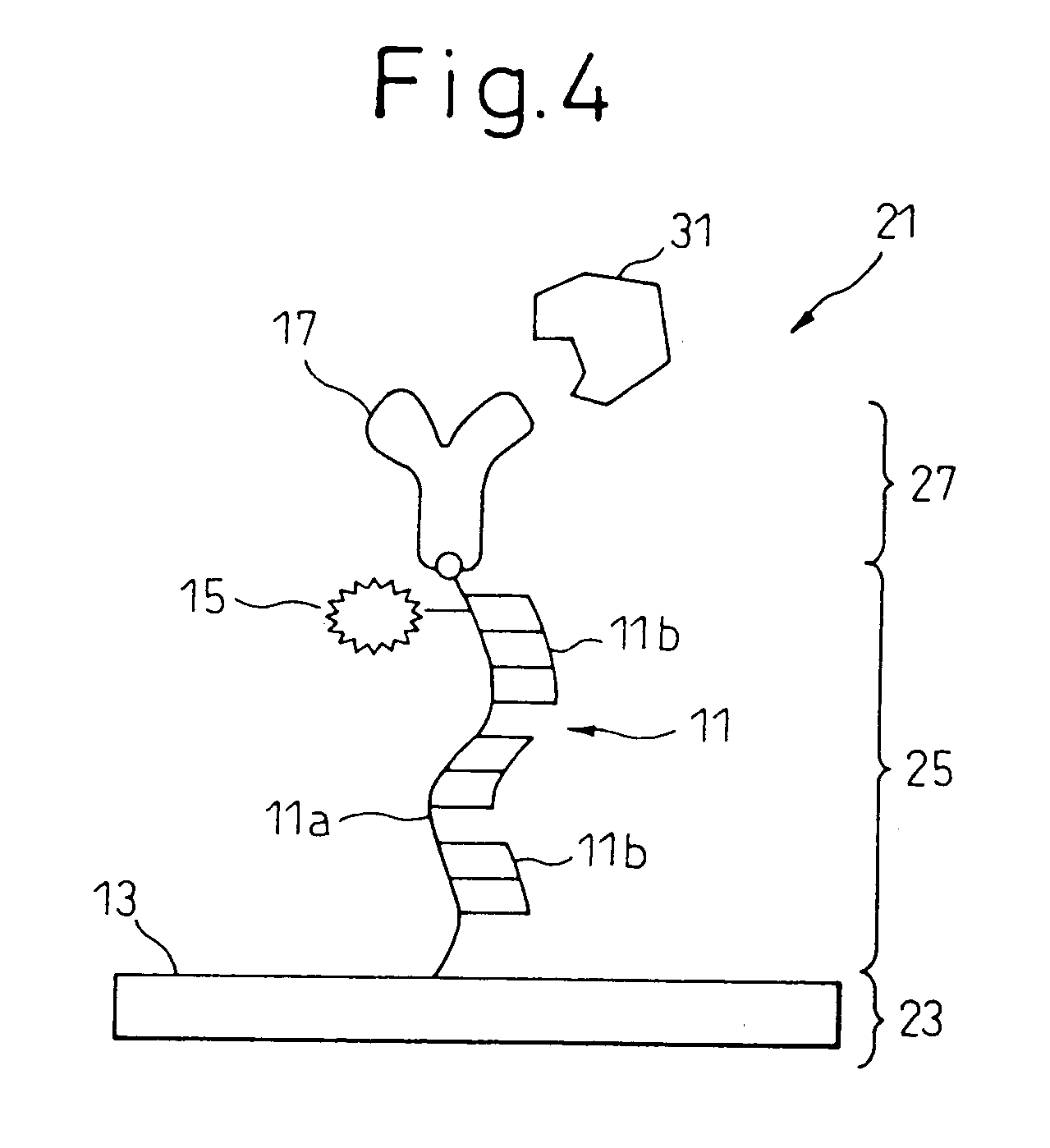 Protein detecting device