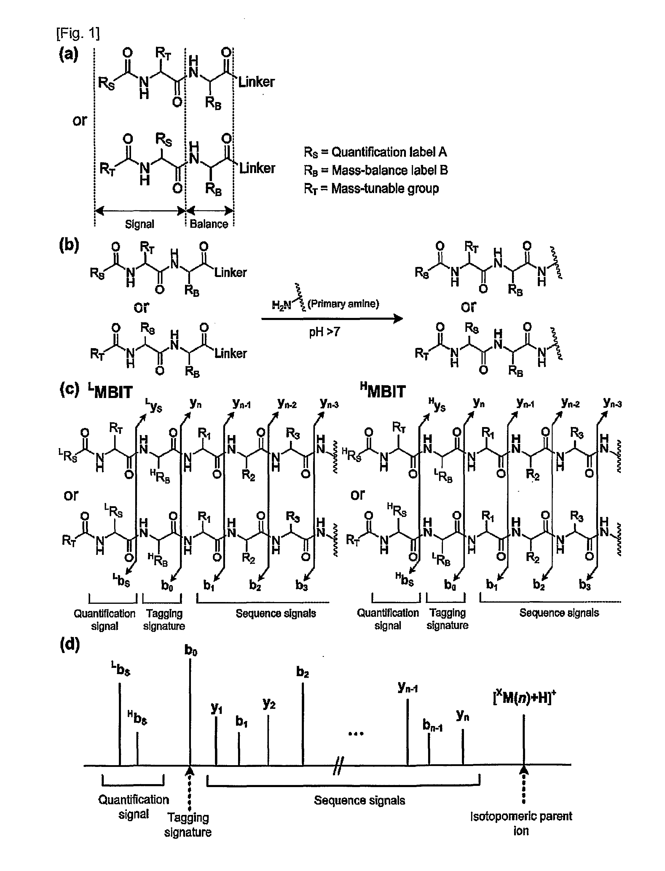 Mass- and property-tuned variable mass labeling reagents and analytical methods for simultaneous peptide sequencing and multiplexed protein quantification using thereof