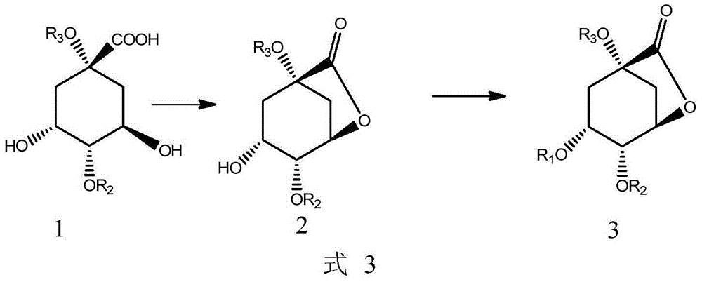 Quinic acid lactone derivative preparation method