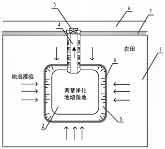 Drainage regulation and storage purification wetland construction system for dry land in irrigation area