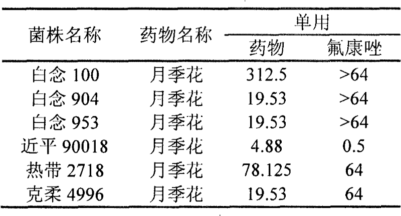 Application of China rose flower in preparation of antifungal product