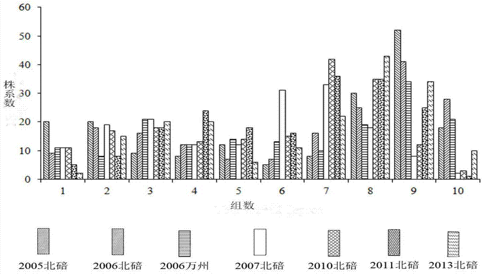 Molecular marker closely linked with cabbage type rape seed coat color and application of molecular marker