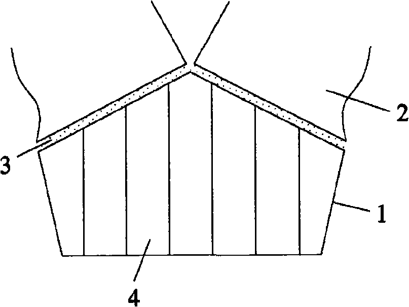 Crystal module for gamma ray detector, manufacturing method thereof and gamma ray detector