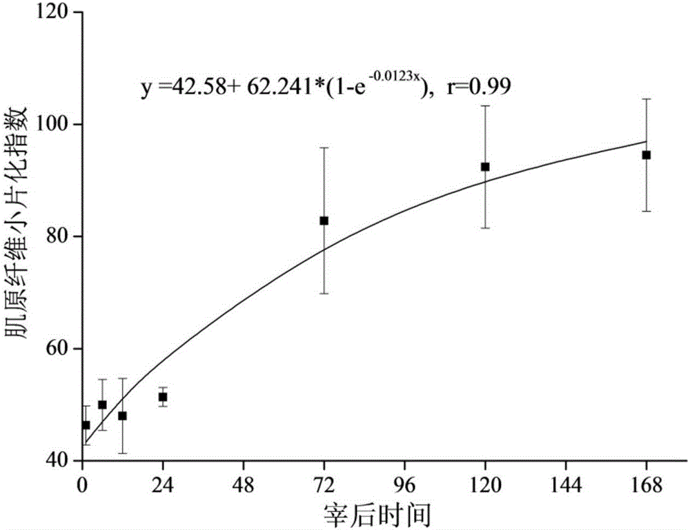 Method of judging optimum maturity of muscle based on [mu]-calpain activity