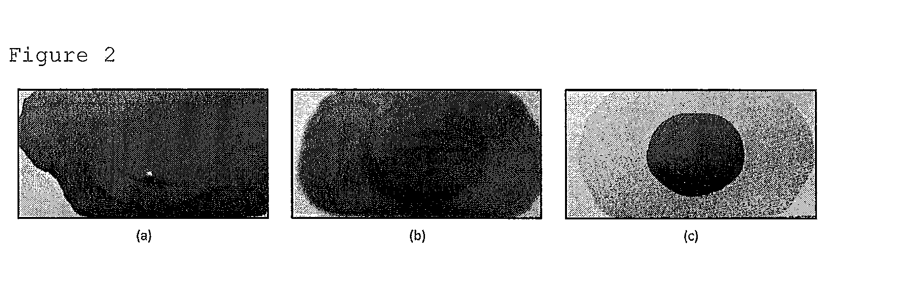 Liquid Developer Dispersion for Digital Printing Process