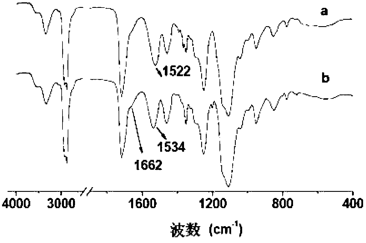 Biodegradable polyurethane with amino on side chain and preparation method and application thereof