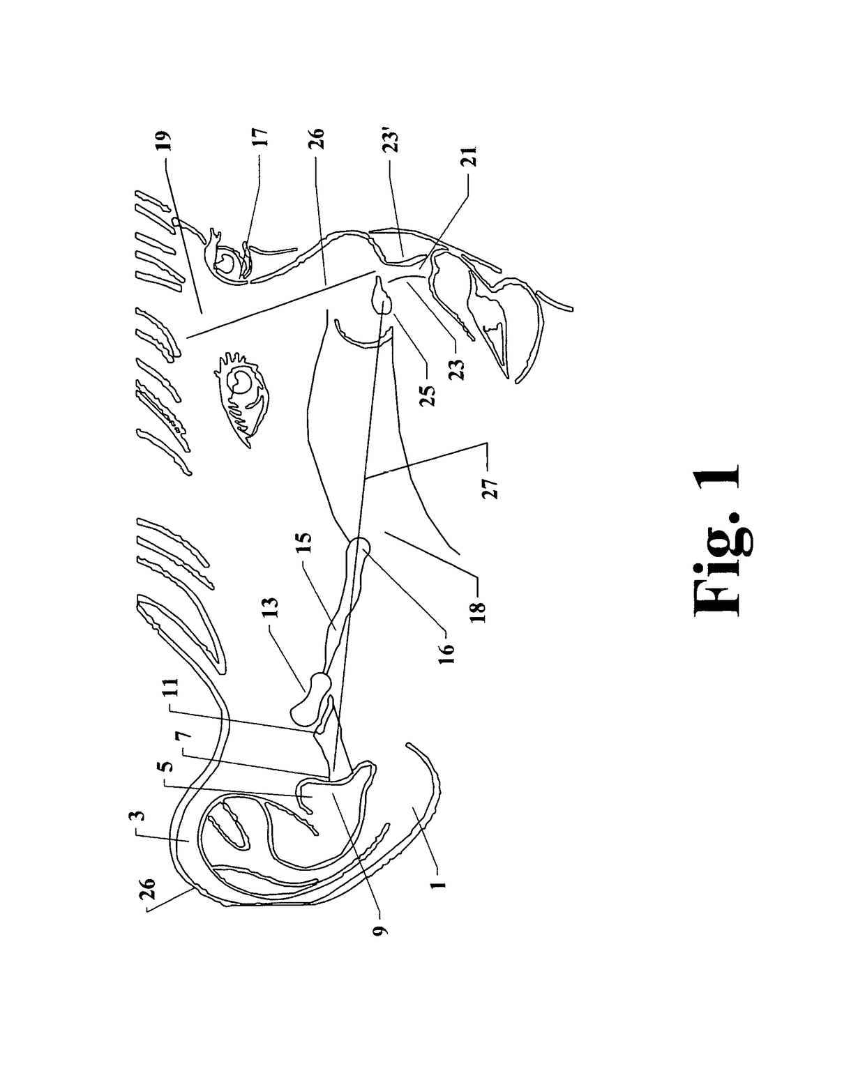 Device and method for administration of compositions to the eustachian tube