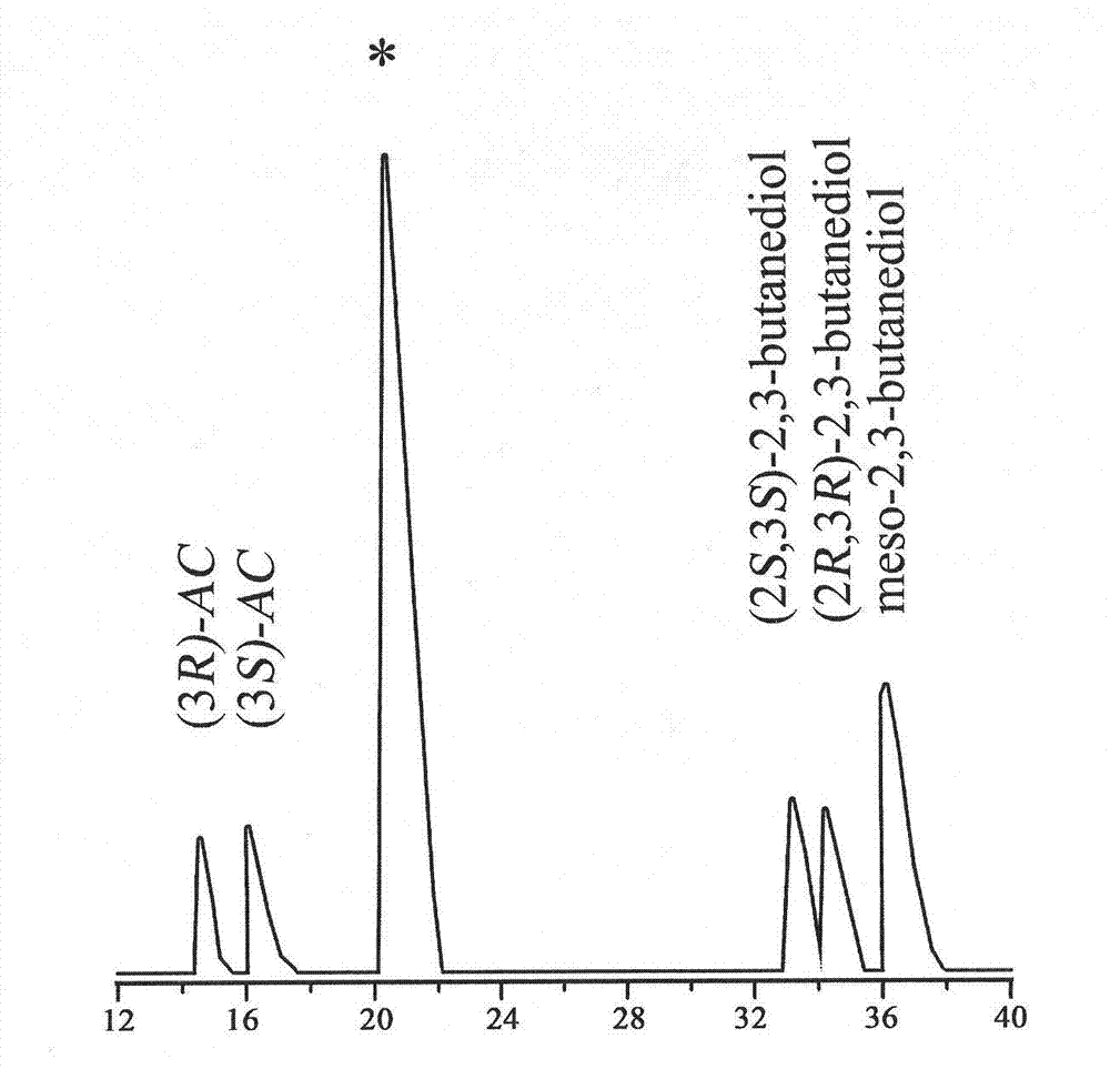 Method for producing chiral pure (2S,3S)-2,3-butanediol