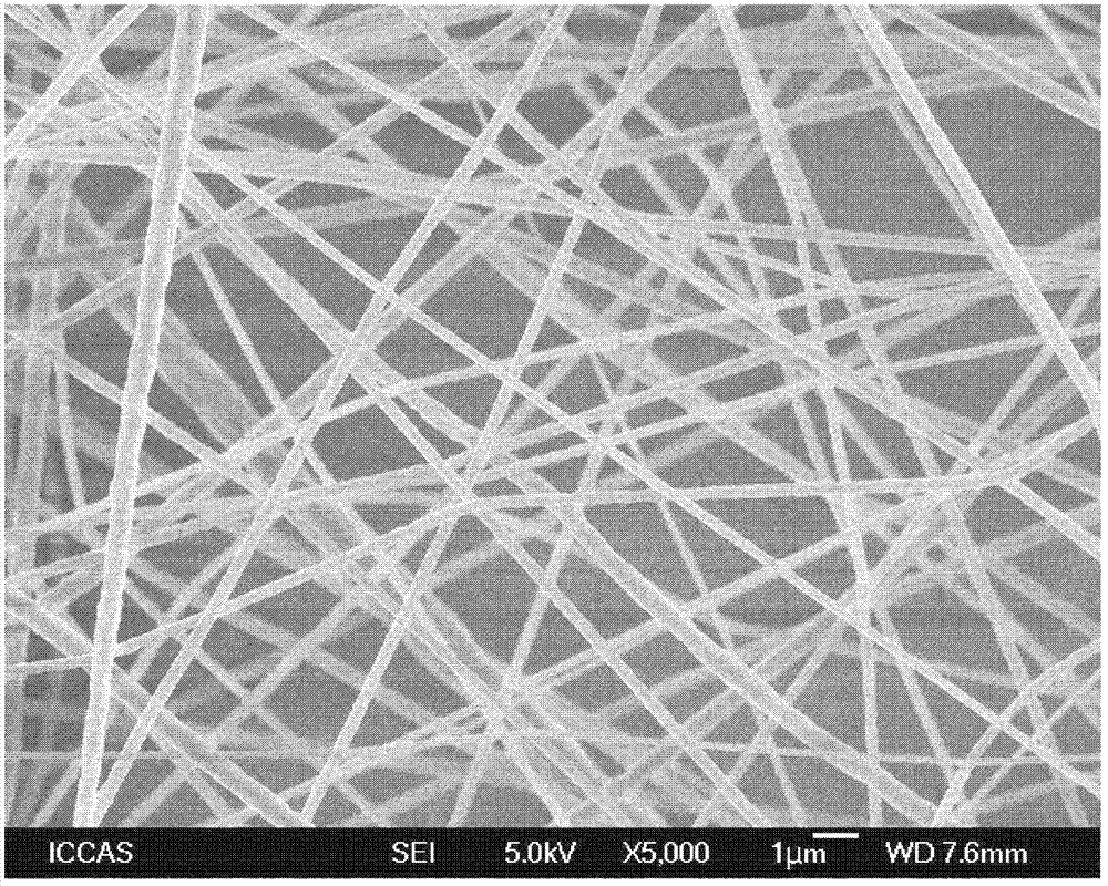 Composite ultrafiltration membrane of modified chitosan composite electrostatic spinning nanofiber and preparation method of composite ultrafiltration membrane