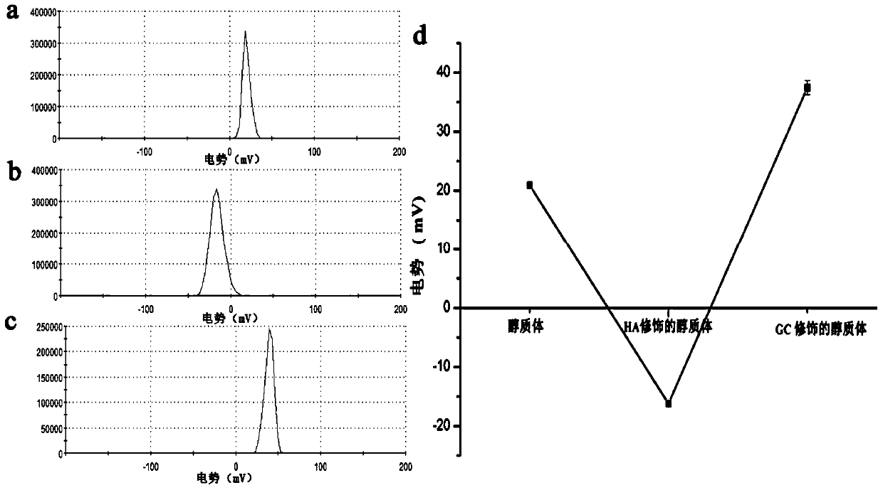 A kind of preparation method of galactosylated chitosan-modified immune ethosome