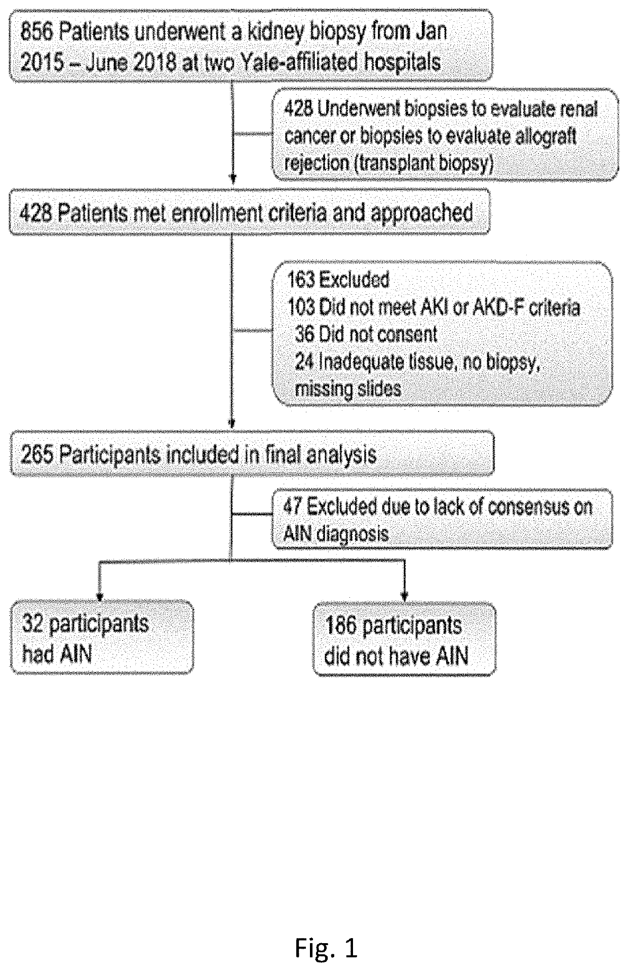 System and methods for diagnosing acute interstitial nephritis