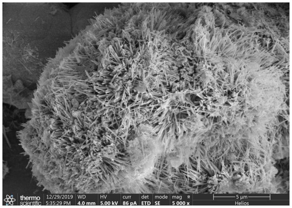 Application of sea urchin-shaped cobalt-based photocatalyst in synthesis of benzoazacycle by converting CO2