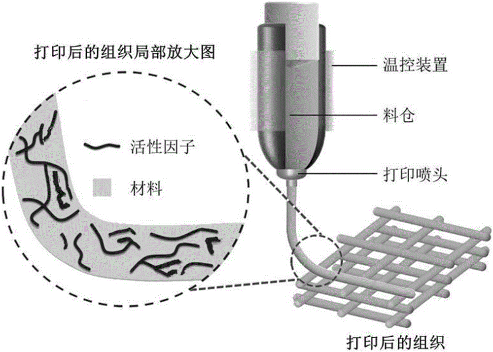 Eye mask and preparation method thereof