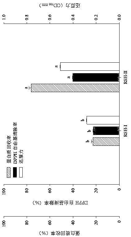 Novel intestinal mucosa anti-oxidation active peptide and preparation method thereof
