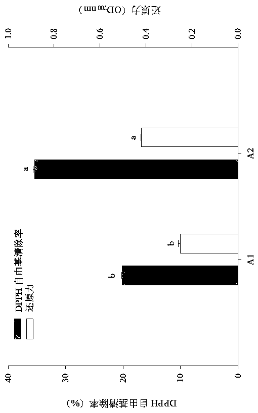 Novel intestinal mucosa anti-oxidation active peptide and preparation method thereof