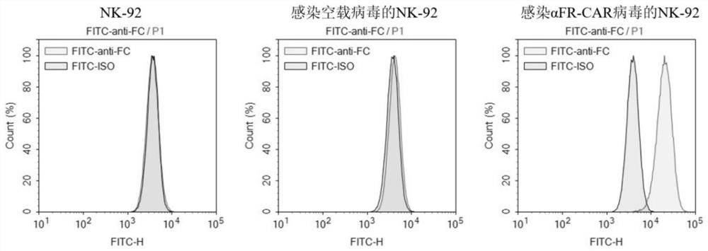 Targeted folate receptor alpha chimeric antigen receptor as well as preparation method and application thereof