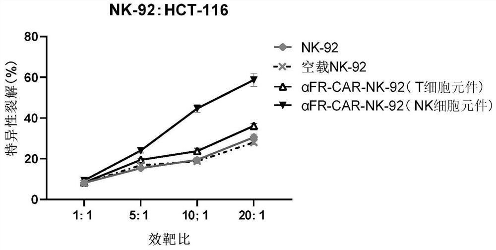 Targeted folate receptor alpha chimeric antigen receptor as well as preparation method and application thereof