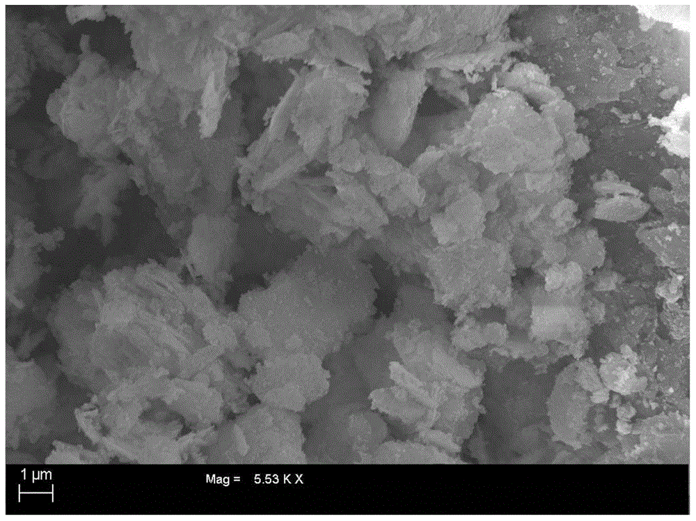 Magnetic ZnO/Fe3O4 catalyst as well as preparation method and application thereof