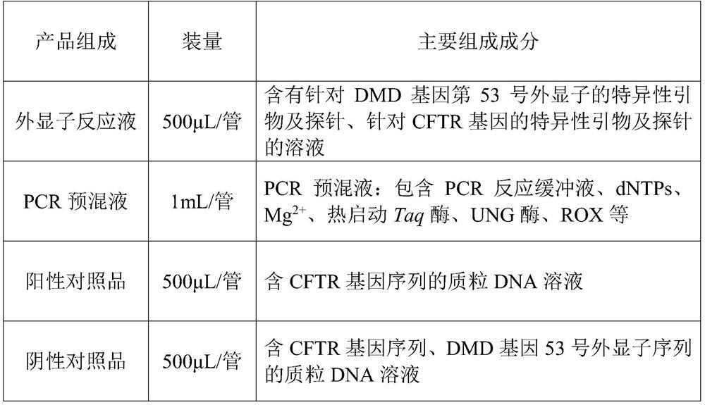 Primer, probe composition and kit for detecting exon copy number variation of human DMD gene