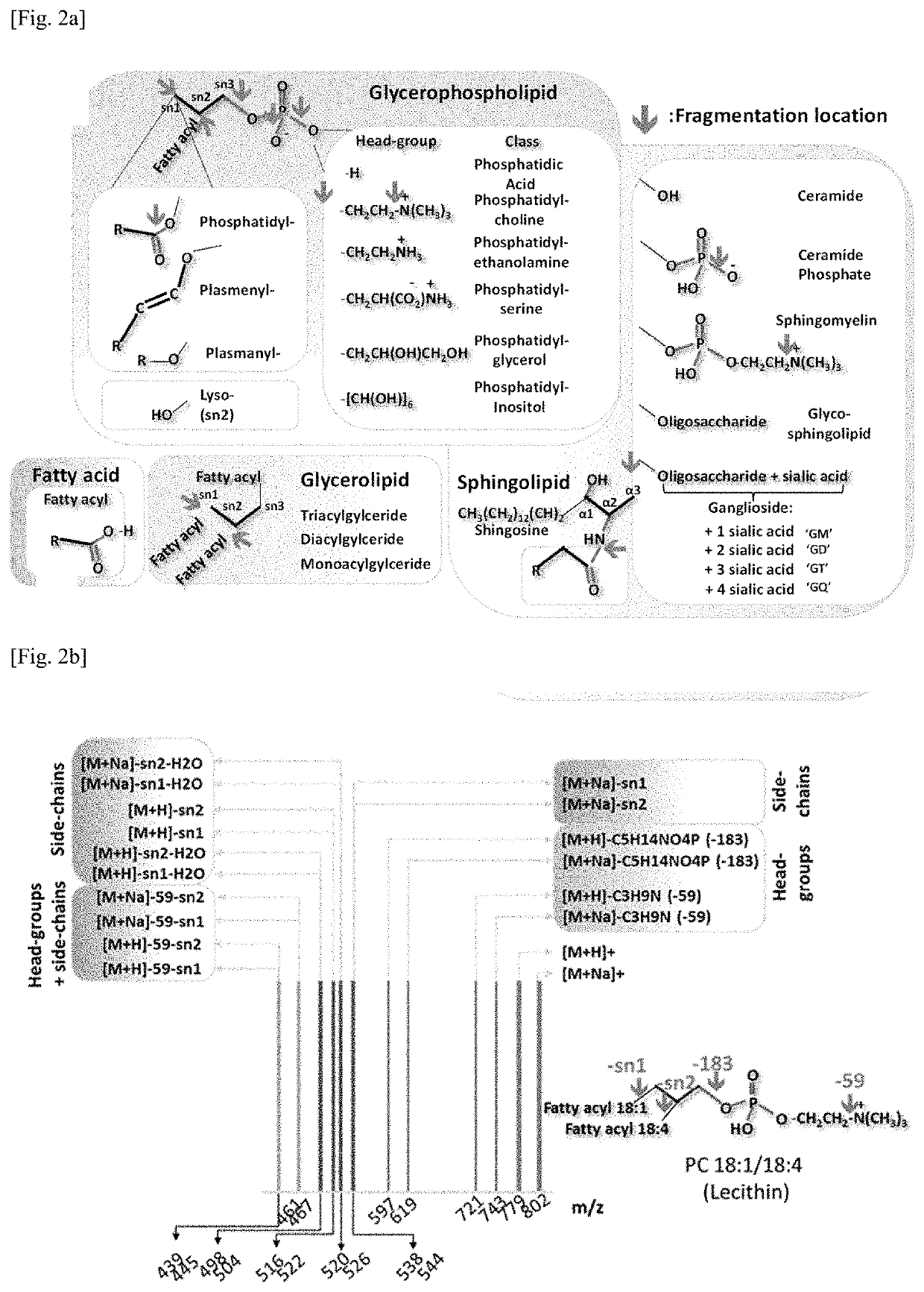 Rapid analysis and identification of lipids from liquid chromatography-mass spectrometry (lc-ms) data