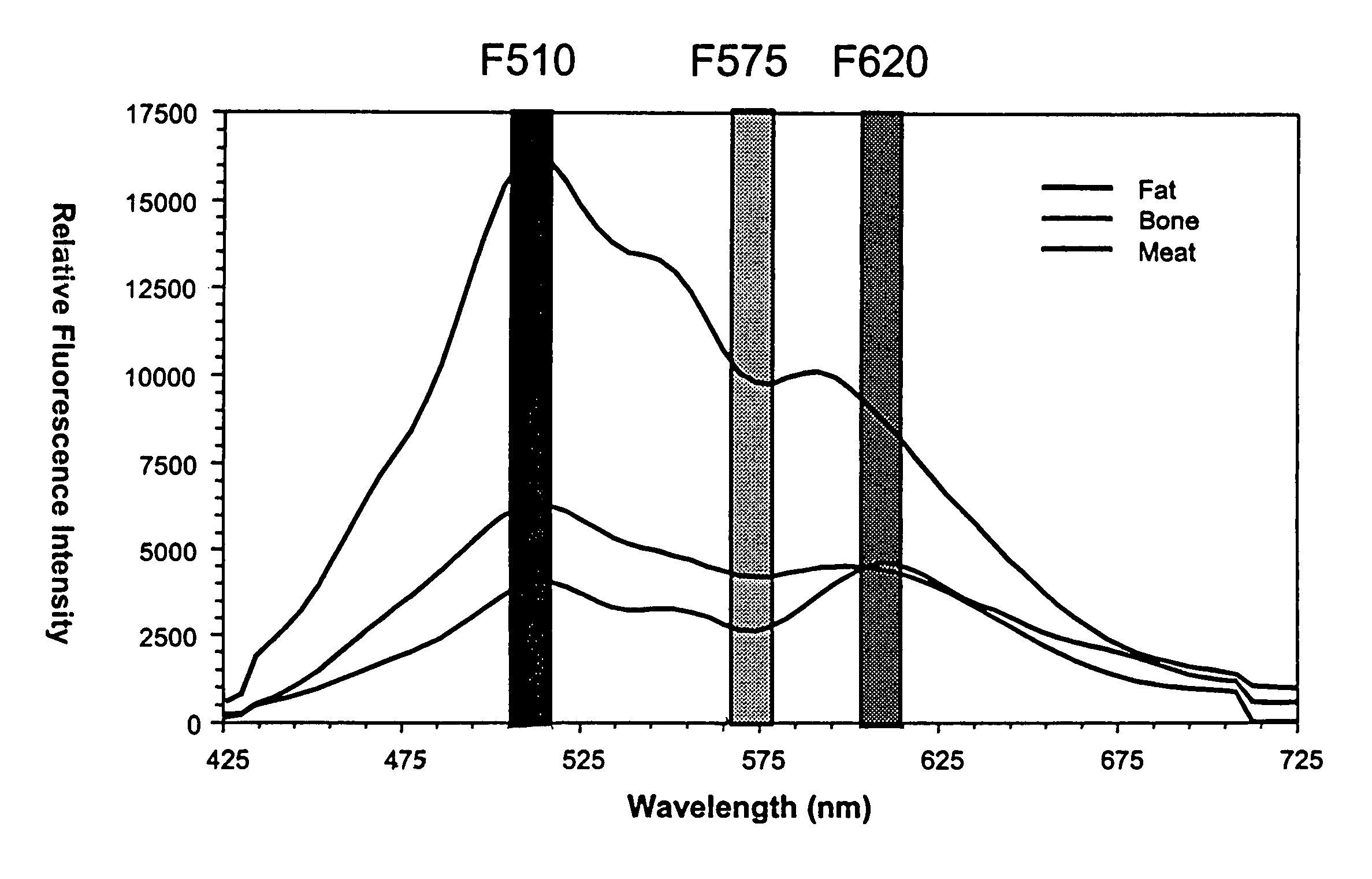Method to detect bone fragments during the processing of meat or fish