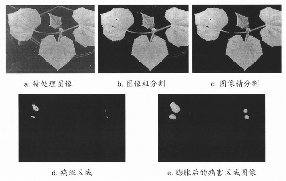 Method and device for judging different disease stresses of cucumbers based on chlorophyll fluorescence imaging technology