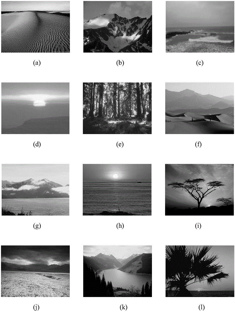 Multi-label natural scene classification method based on spatial pyramid and sparse coding
