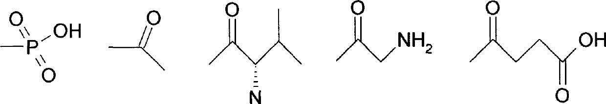 New thienopyridine compound