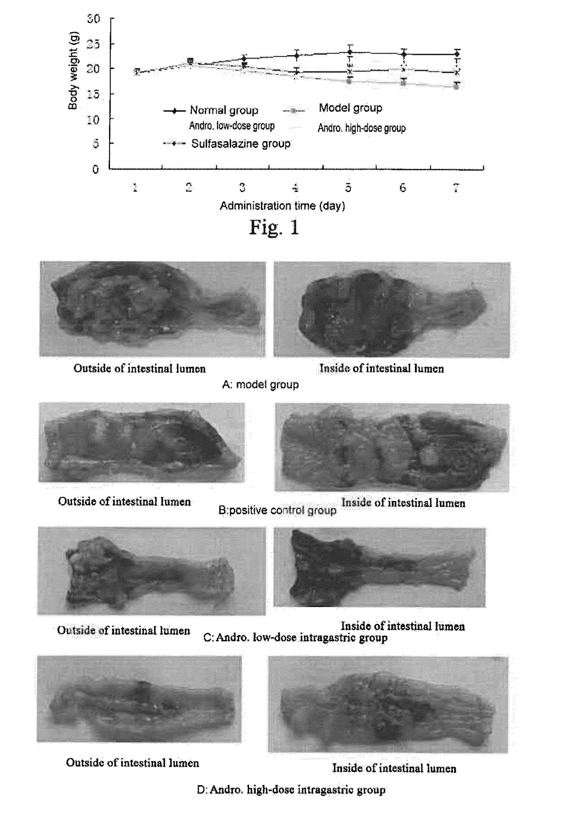 Application of andrographolide in the preparation of a pharmaceutical for treatment of inflammatory bowel disease, andrographolide enteric targeting micropellet, and method for preparation thereof