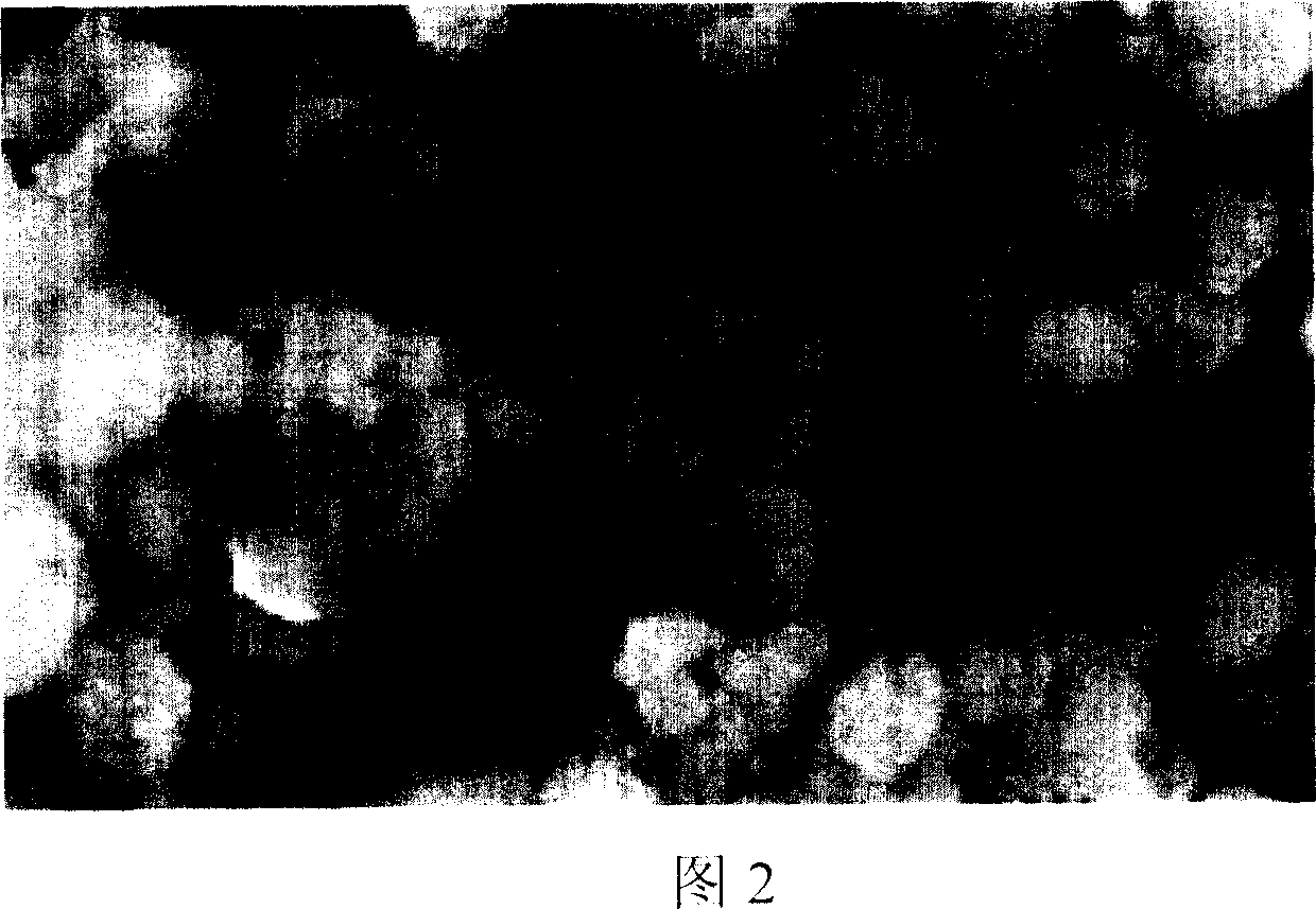 Preparation method of nickel magnesium cobalt hydroxide