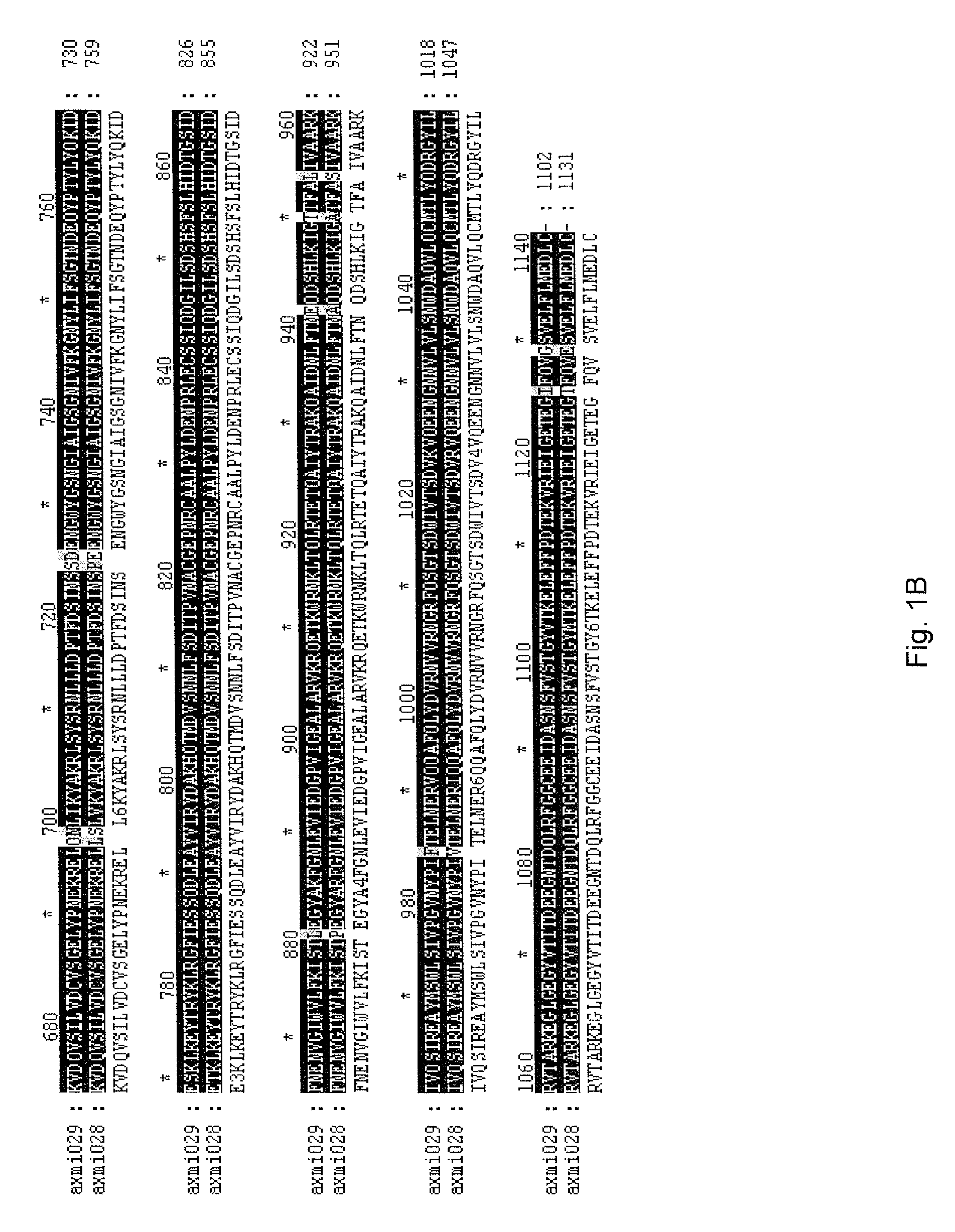 Axmi-028 and axmi-029, a family of novel delta-endotoxin genes and methods for their use