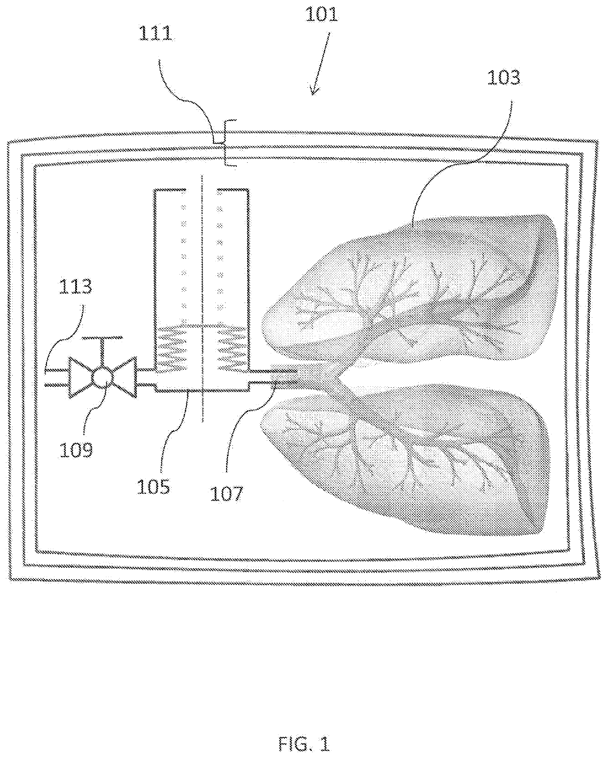 Apparatus for tissue transport and preservation