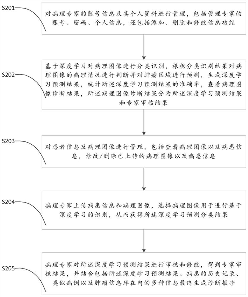 Multi-information fused pathological image classification and recognition method and system