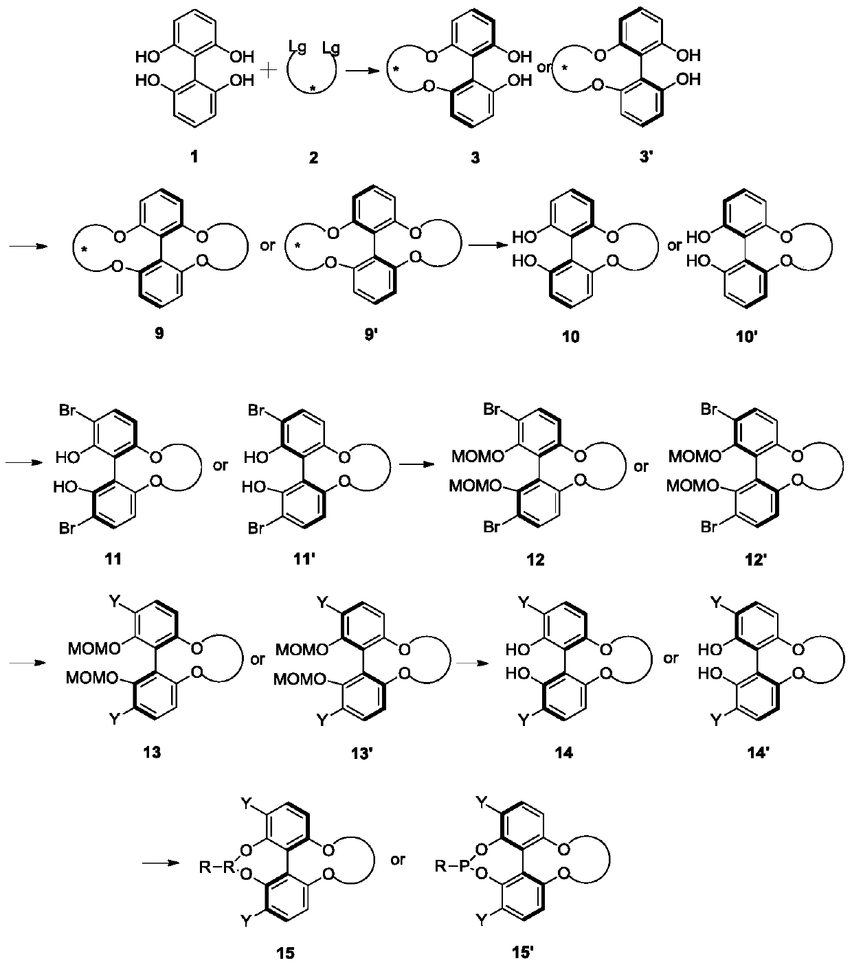 A kind of phosphoramidite ligand and its preparation method and application