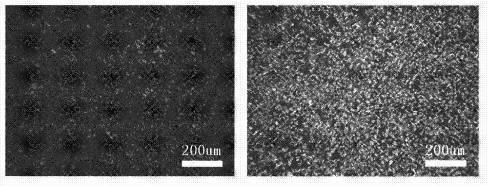 Preparation method of beewax-based plastic fat