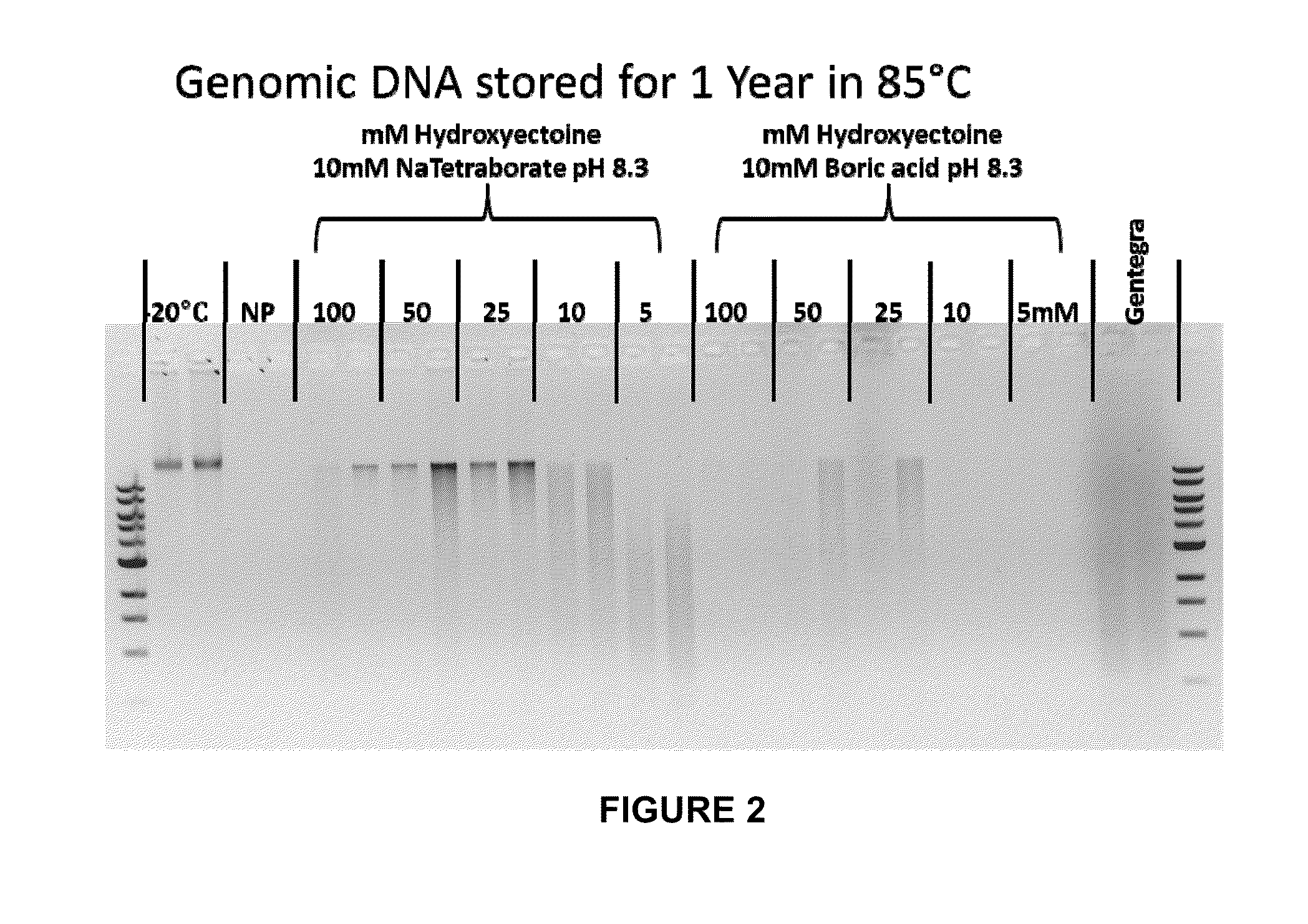 Compositions and methods for biological sample storage