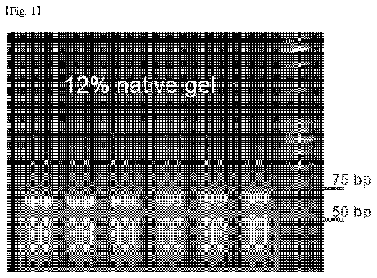 Aptamer specifically binding to L-Ascorbic acid and use of the same