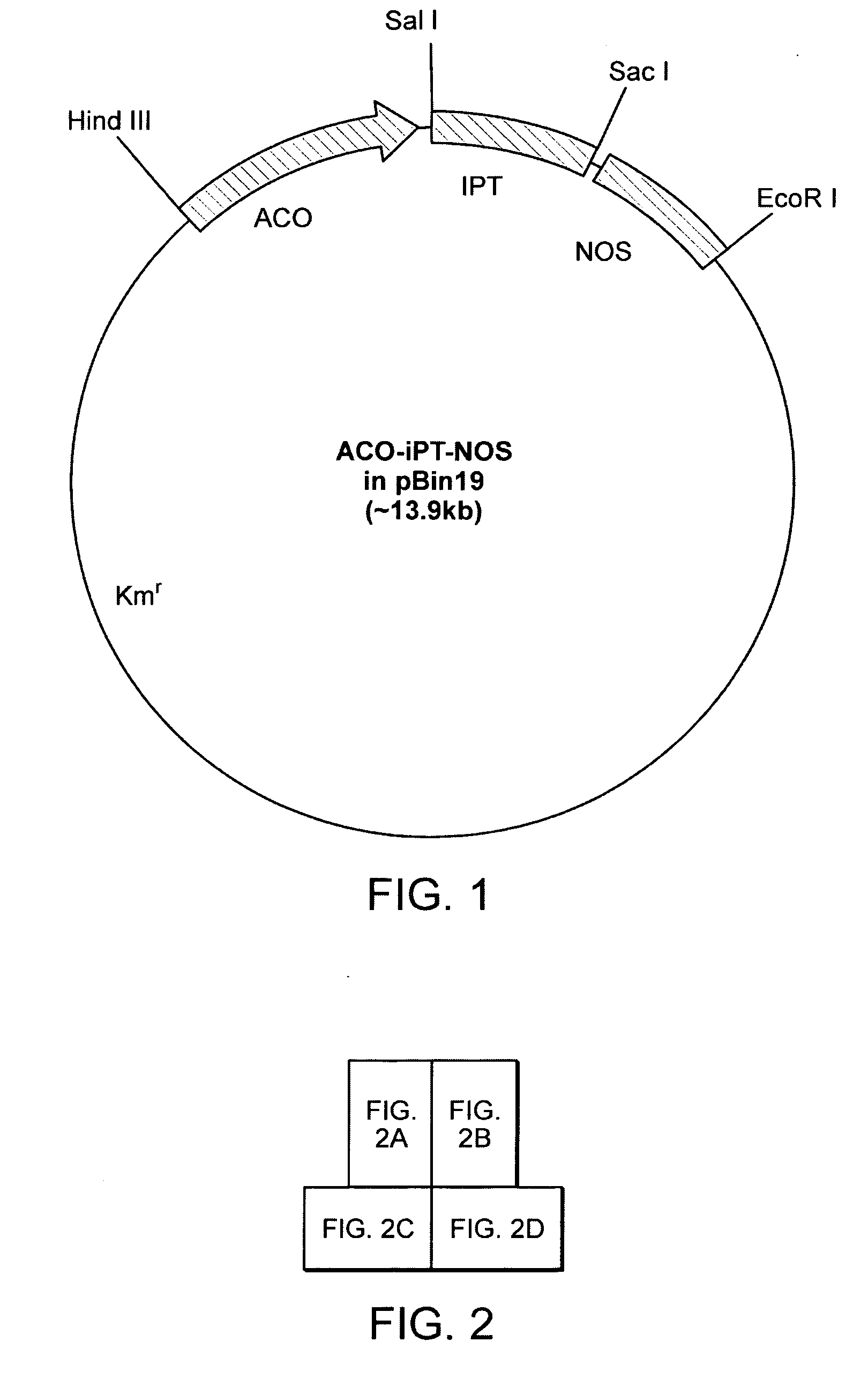 Method and composition for increasing branching and flowering response in plants
