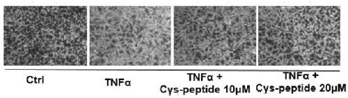 Novel peptidome for improving pre-eclampsia placental dysfunction