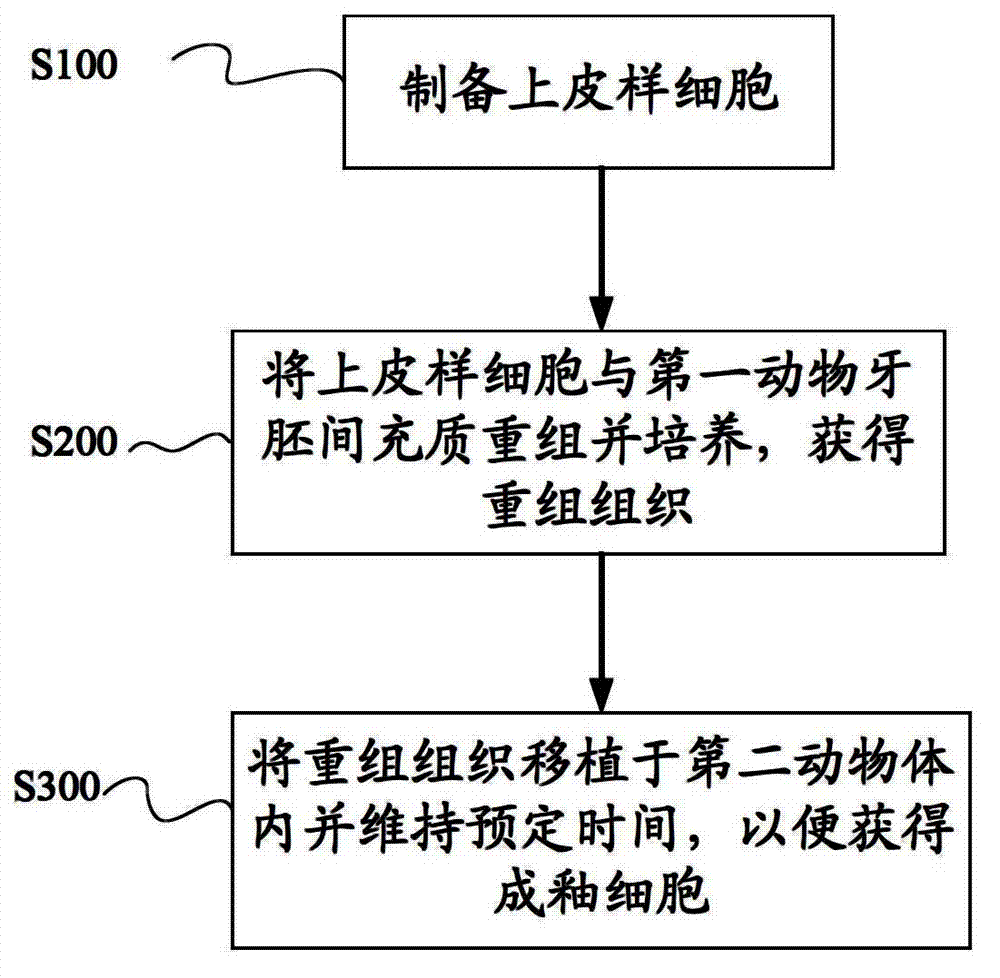 Culture medium and application thereof