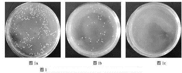 Bacteriostatic agent