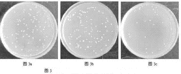 Bacteriostatic agent