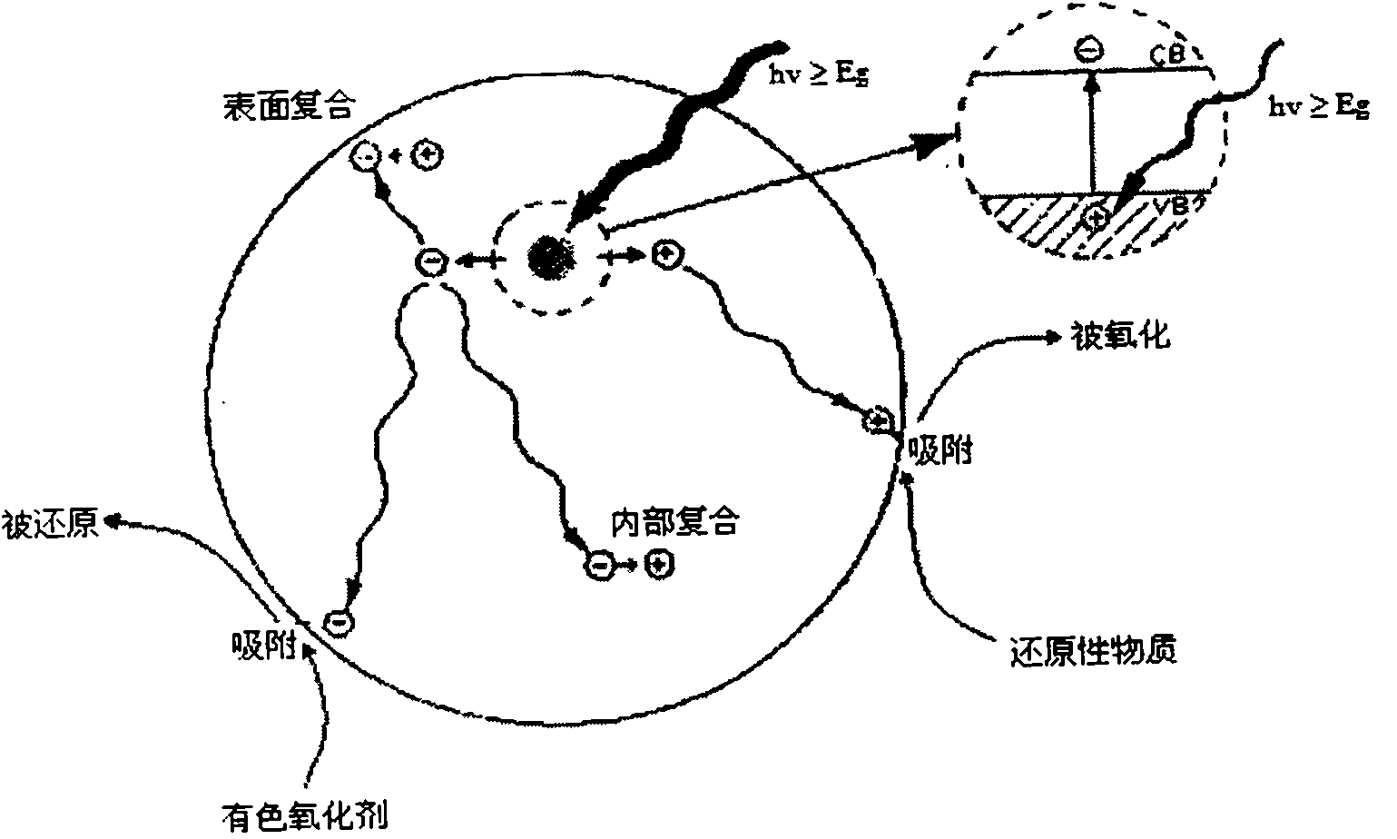 Rapid determining method of COD by photocatalytic digestion